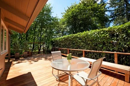 sunny back deck with furniture